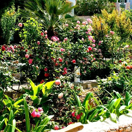 Tolle In Mit Schoenem Garten Lägenhet