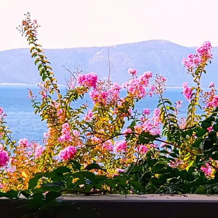 Tolle In Mit Schoenem Garten Lägenhet *